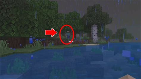NILARO KO ANG TOTOONG WORLD NI HEROBRINE .